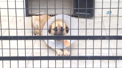 Minik Öğrencilerden Anlamlı Ziyaret