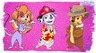 PAW Patrol as Chip and Dale: Rescue Rangers | Fun Coloring Pages Videos For Kids