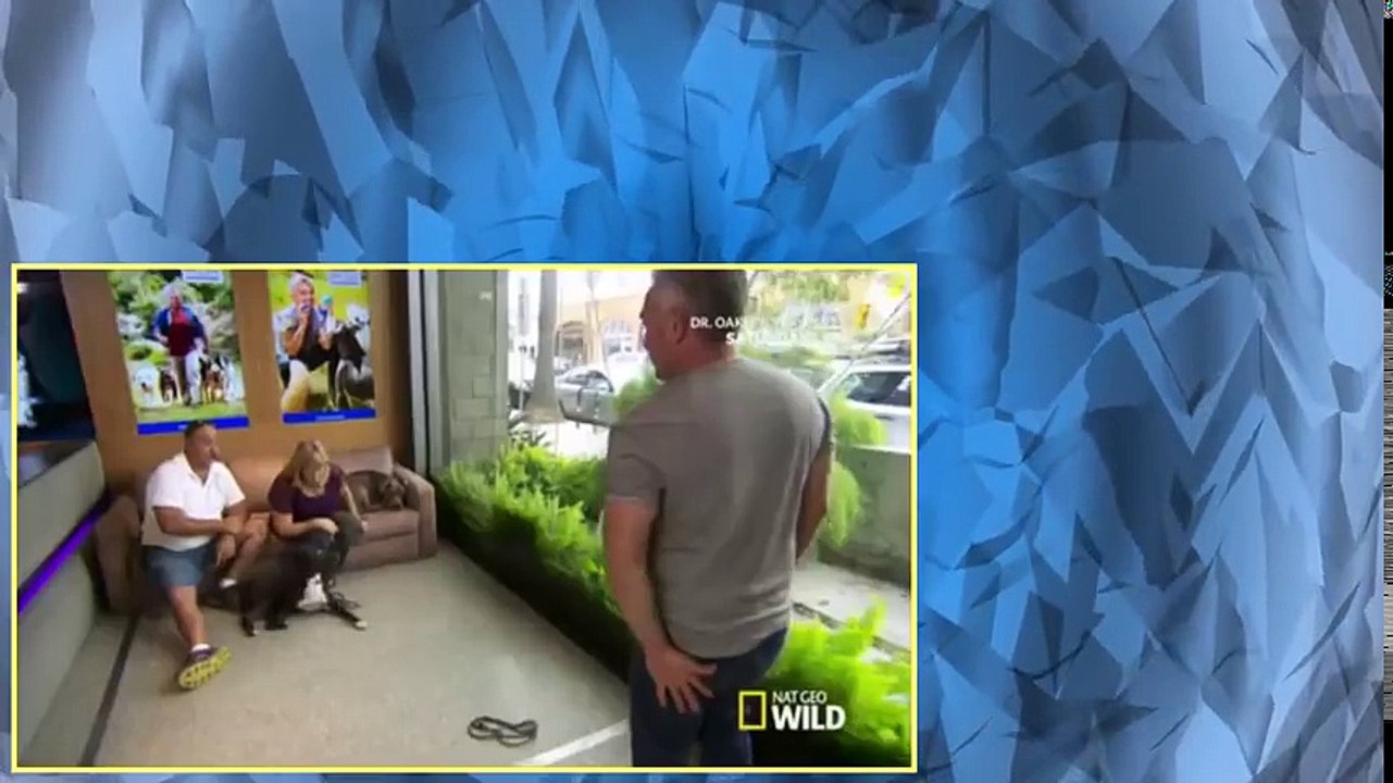 Cesar 911 S01E06 Neighborhood Bully