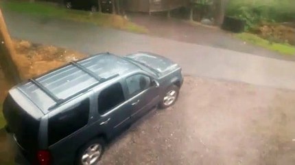 Il découvre des ours dans sa voiture