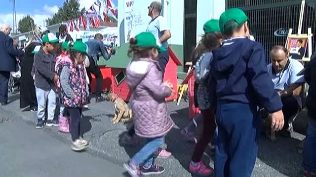 Hülya Koçyiğit: Çok Şükür Allah'a, Sağlığım Yerinde
