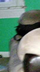 Dog sees something that isn't there