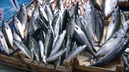 Balık Fiyatları El Yakıyor