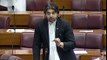 PTI Ali Muhammad Khan In National Assembly