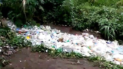 Une rivière remplie de bouteilles en plastique à Guatemala !
