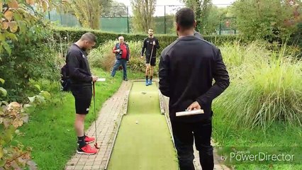 Les zèbres à Nivelles