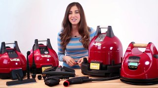 Ladybug Steam Cleaner Review! (Clean My Space)