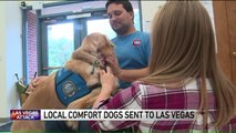 Group Sends Comfort Dogs to Las Vegas