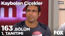 Kaybolan Çiçekler 163. Bölüm 1. Tanıtımı