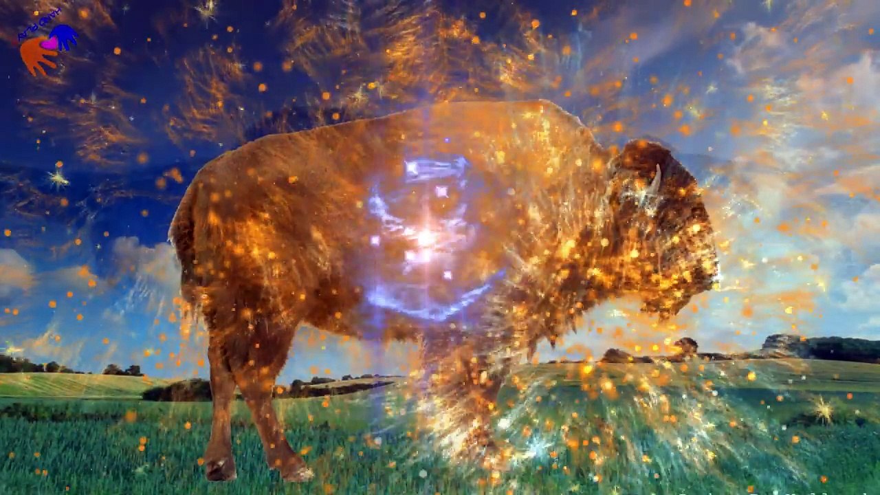 Learn Wild Animals & Animal Sounds | Learn Animals For Kids With Kung Fu Panda Handplaytv (Part 02)