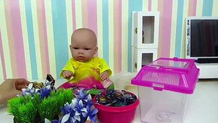 La mascota de la muñeca bebé Lucía adornamos la pecera para su pez de colores en Mundo Juguetes