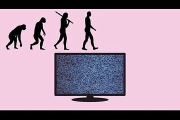 cell differentiation channel television channel television tv tg in placental mammals and