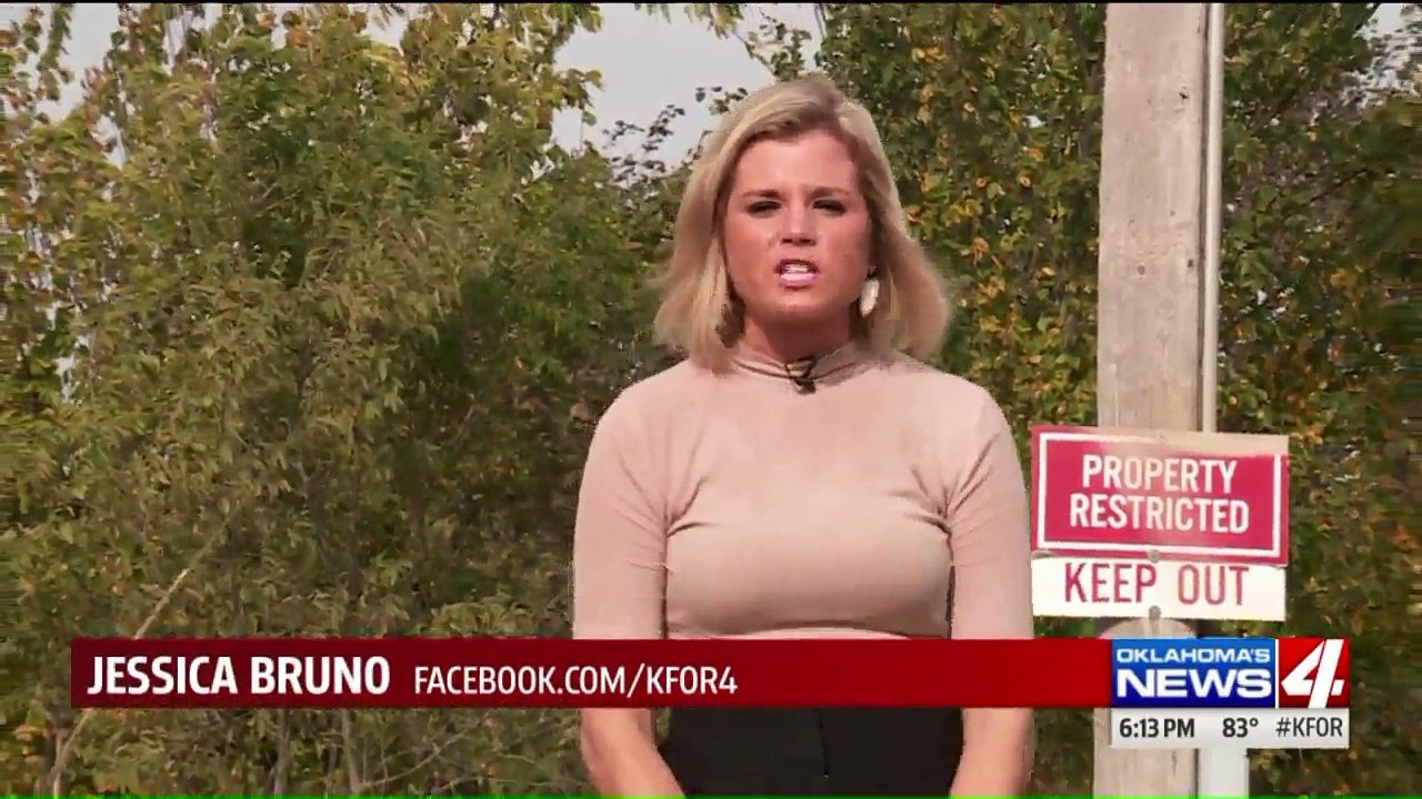 Terrifying Surveillance Video Captures Thieves Roaming Through Home with Guns Drawn