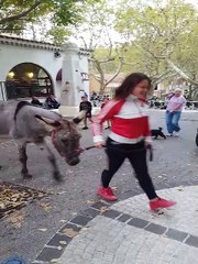 Au Revest, les animaux ont été bénis ce mercredi