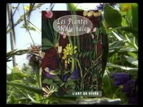 Les plantes médicinales