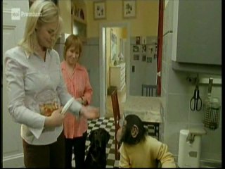 Il nostro amico Charly 12x02 - Charly e la casa dei segreti