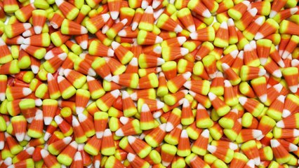 Candy Corn: A Nation Stands Divided - What Side Are You On?