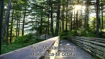 FRATII DIN BARBULESTI ~ BIJI - BENY - MARIAN - MARY [DEMO ALBUM 2016]