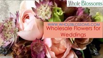 Wholesale Flowers for Weddings - www.wholeblossoms.com
