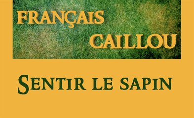 Français caillou/ Définition du jour : "Sentir le sapin"