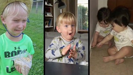 The Quirks And Curiosities Of Growing Up