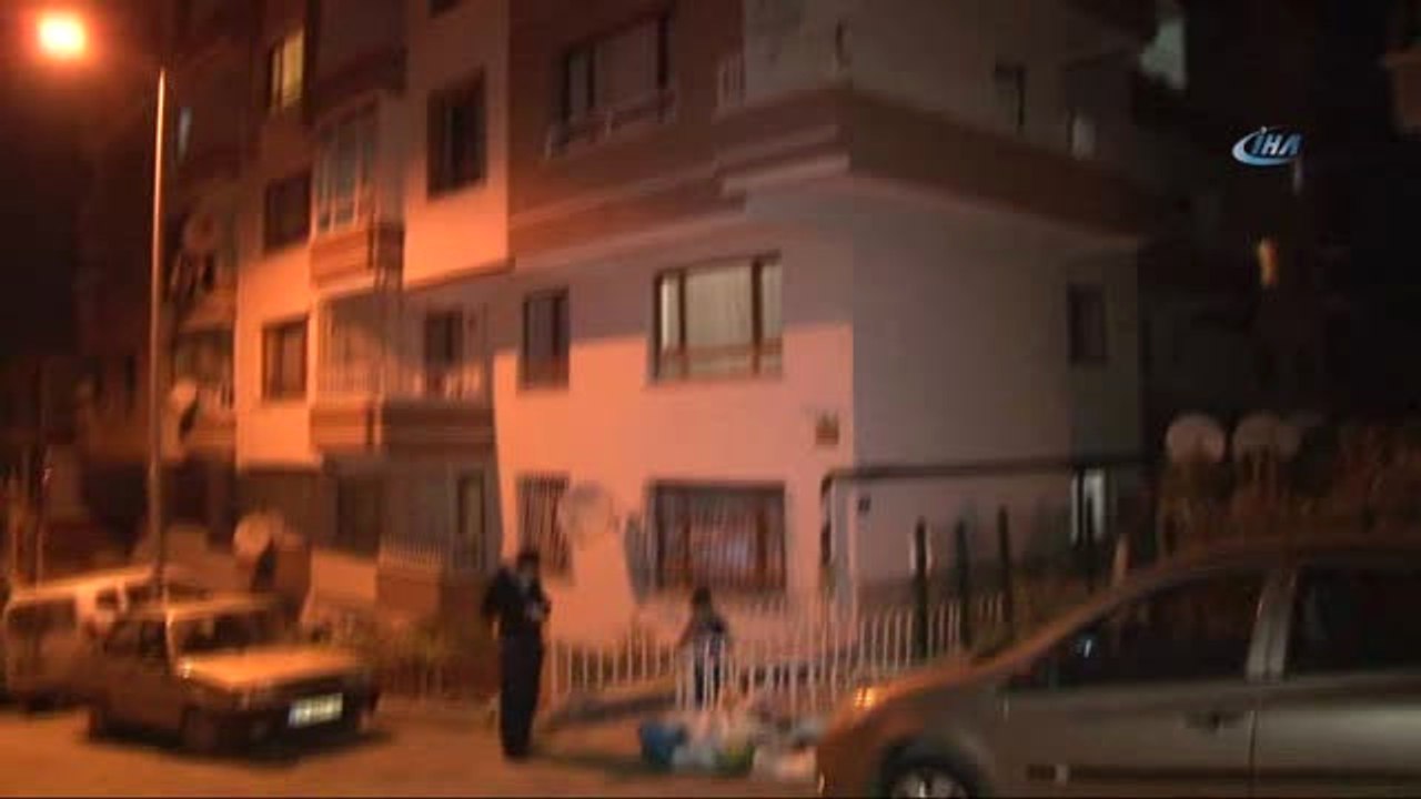 4 Ekim Dünya Hayvan Haklarını Koruma Günü'nde Hayvan Katliamı