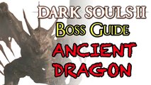 Dark Souls 2 Boss Guide: Ancient Dragon