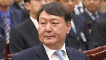 '화려한 복귀' 윤석열 취임 5개월...성과와 한계 / YTN