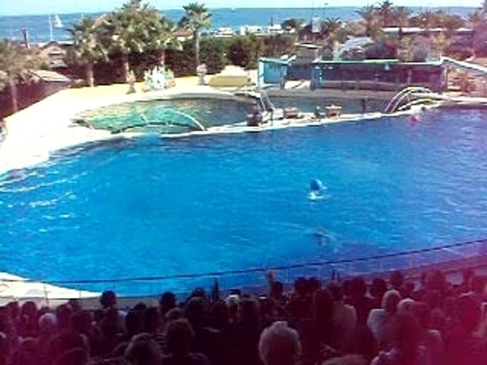 Marineland 2007