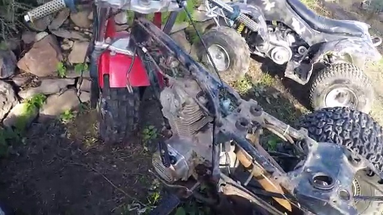 BIG WHEEL FAT CAT DIRT BIKE PROJECT