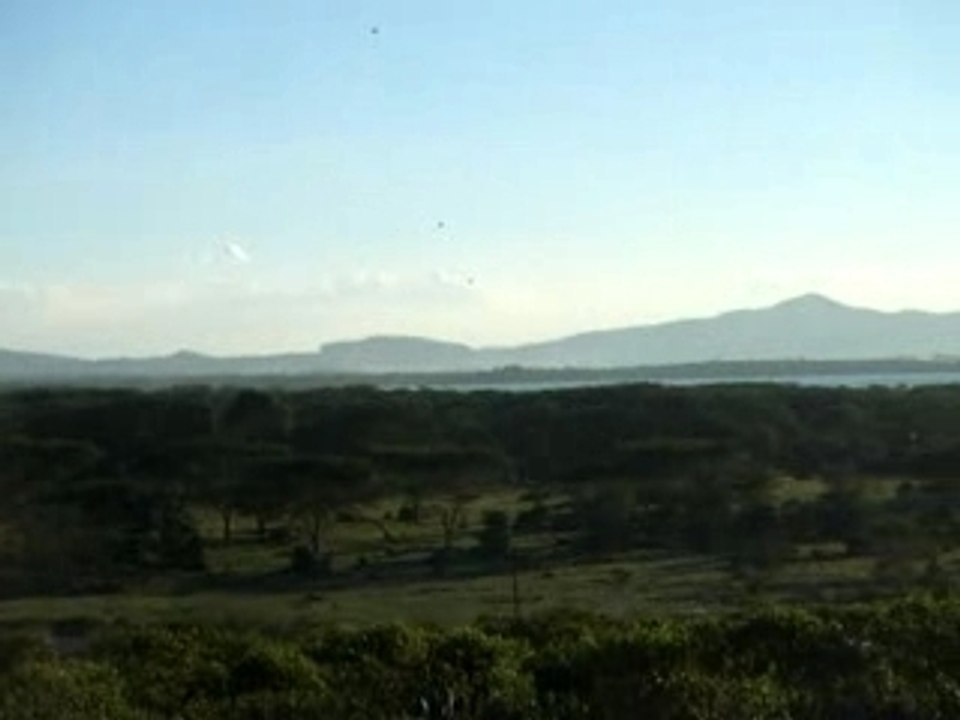 Vue de la base