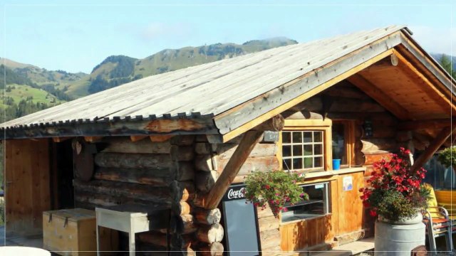 A vendre - Commerce - Gryon (1882)