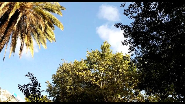 Portugal - A Day in the Life of Lisbon - Google Pixel Phone / Zhiyun-Tech Smooth-Q Gimbal