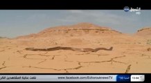 كوبرا من اخطر أفاعي العالم في الجزائر -cobra algeria