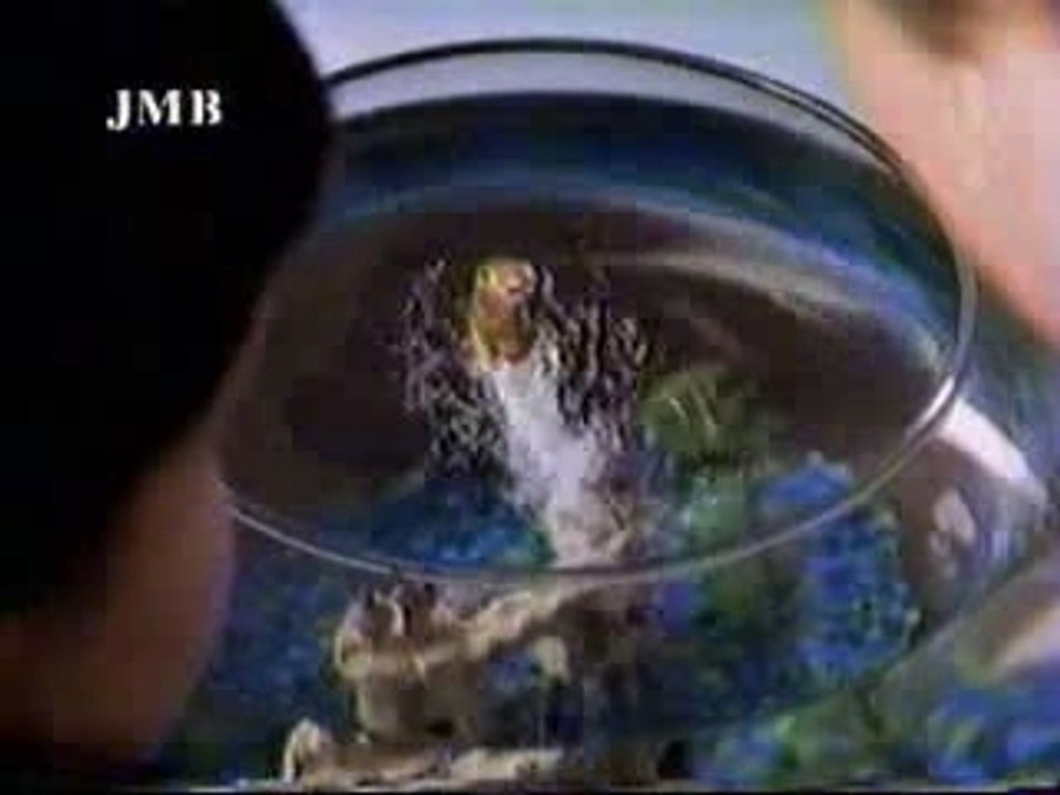 Publicité - Pepsi Poisson