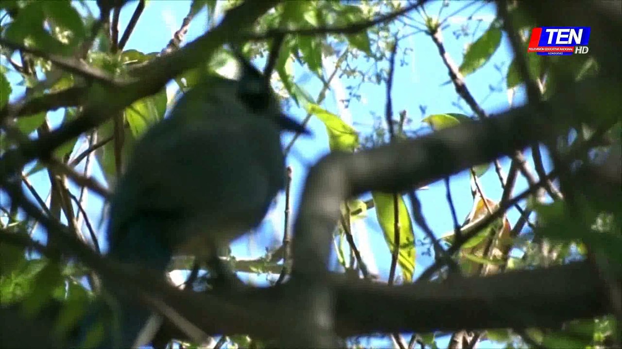 Conociendo Amapala