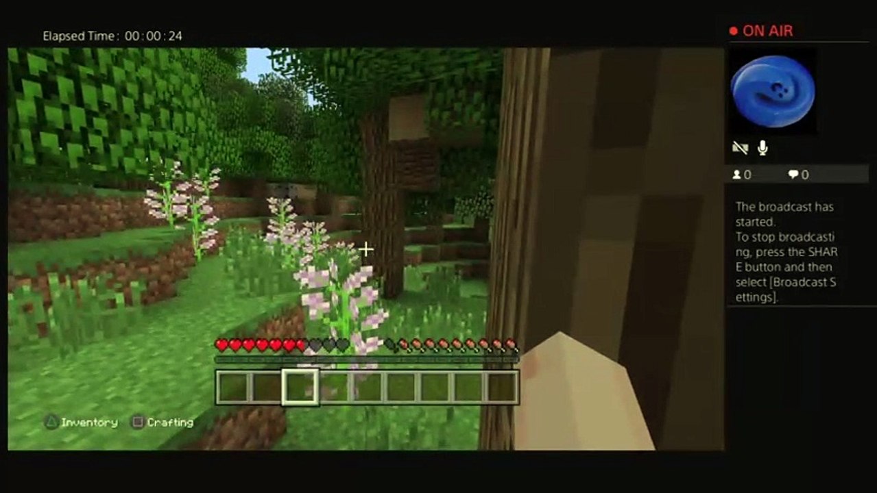 My world  part 1 (85)