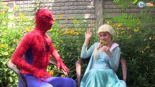 Frozen Elsa MAKEUP PRANK vs Spiderman vs GIRL w/ Pink Spidergirl & Batman in Real Life!