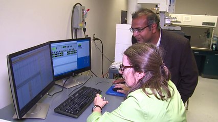 Researchers in Indiana Using Dogs to Sniff Out Prostate Cancer