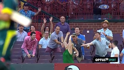 Cricket fan makes incredible $4000 catch
