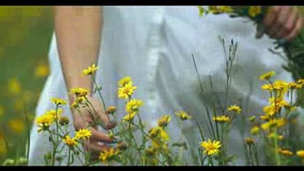 BANDA MS - EL COLOR DE TUS OJOS (VIDEO OFICIAL)