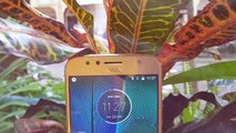 Moto G5S Plus Camera Review - Is Double worth the Trouble-8z5-cxMWuTM
