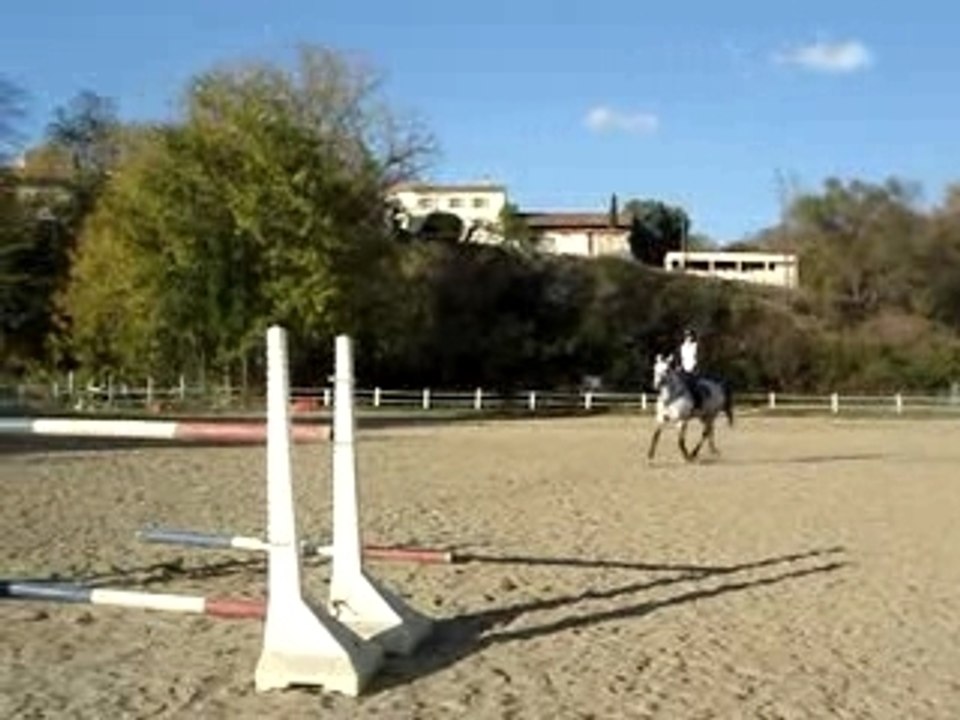 saut 1 m30 au trot