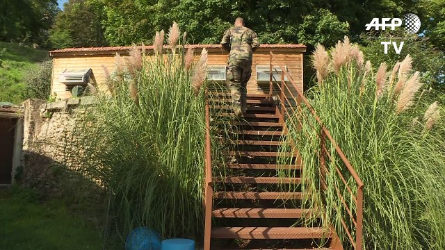 Europe's last military carrier pigeons roost outside Paris