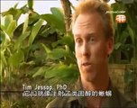 Massive Lizards Giant Komodo Dragons (Nature Documentary)