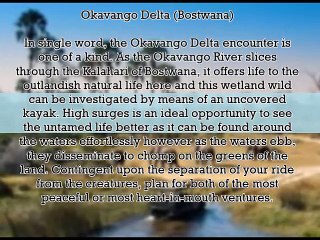 BEST AFRICAN SAFARIS TO EXPLORE