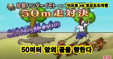 [일본예능][이모토] 잡히면 죽는다 도마뱀과의 달리기 시합