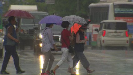 [날씨] 오후부터 흐려져 남부 비...내일 전국 확대 / YTN