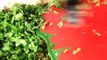 Сарма Долма из виноградных листьев с рисом. Без мяса по-турецки/Япрак сарма/Видео Рецепт