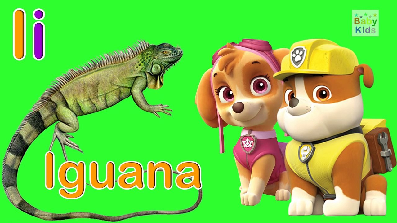 LAS VOCALES en Español con Talking Tom, Paw Patrol, Toy Story y Peppa Pig | BabyKids